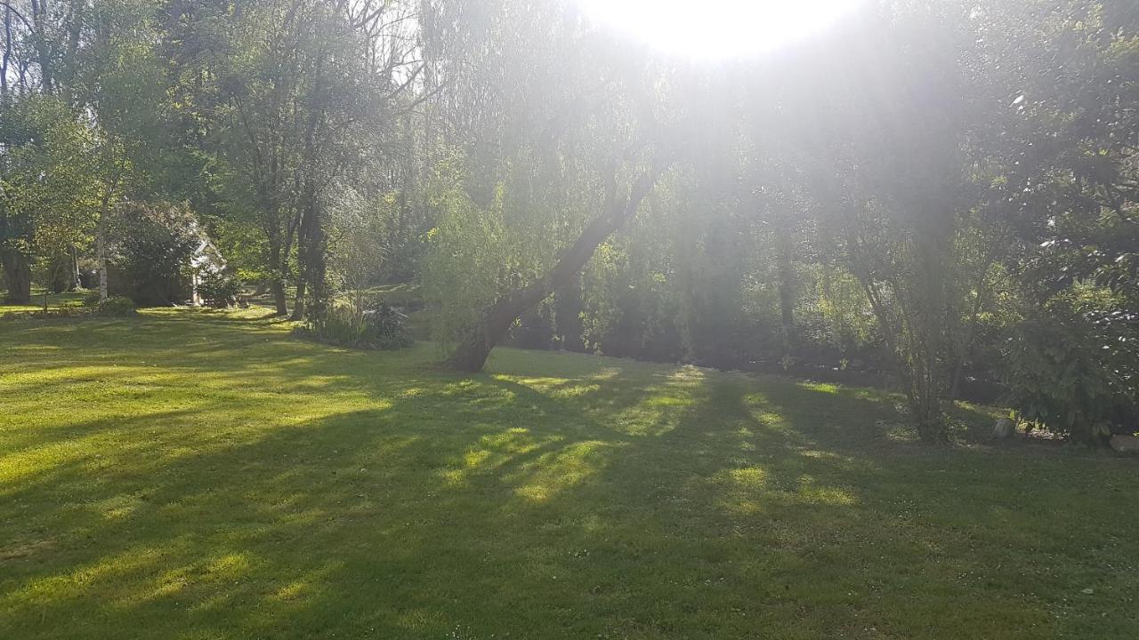 Au Coeur De Foret