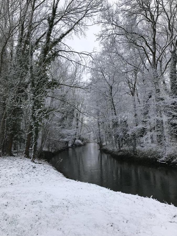 Au Coeur De Foret
